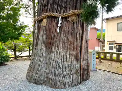 飛驒一宮水無神社(岐阜県)