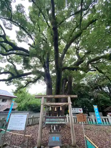 冠纓神社の鳥居