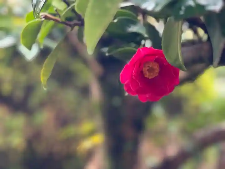 西方山極楽寺(岐阜県)