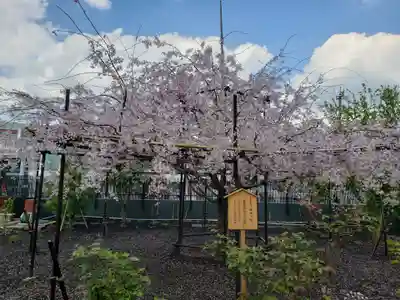 福蔵院(東京都)