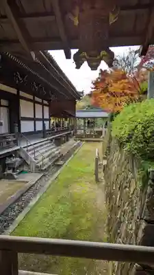 光明寺（粟生光明寺）(京都府)