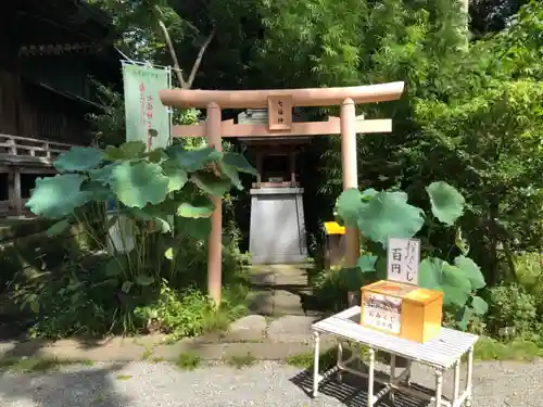 白笹稲荷神社の鳥居