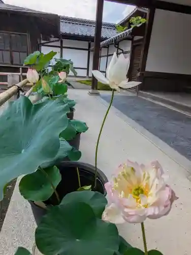 鹿苑寺（金閣寺）(京都府)