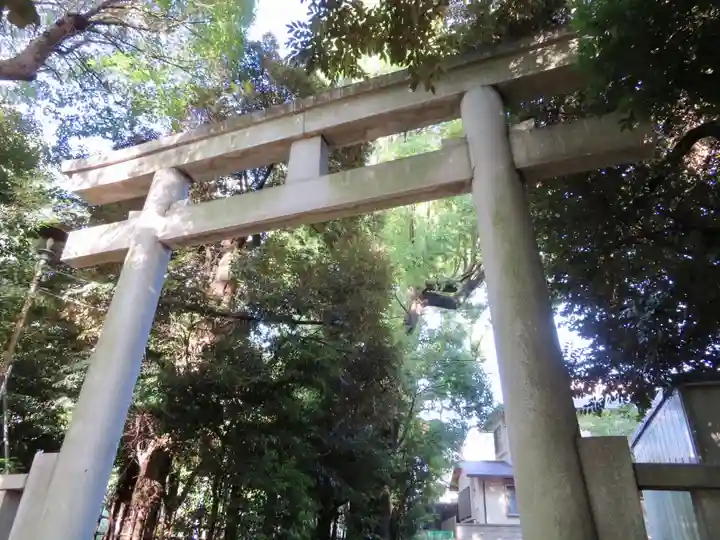 渋谷氷川神社の鳥居