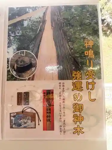 蚊里田八幡宮(長野県)