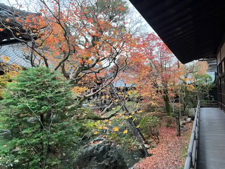 禅林寺(永観堂)(京都府)