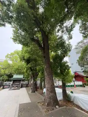 増上寺の{uncategorized: "未分類", other: "その他", undefined: "問題あり", building: "その他建物", grave: "お墓", sacred_gate: "鳥居", guardian: "狛犬", statue: "像", buddha: "仏像", history: "歴史", nature: "自然", garden: "庭園", animal: "動物", pagoda: "塔", temizu: "手水舎", mountain_gate: "山門・神門", sanctuary: "本殿・本堂", subordinate: "末社・摂社", art: "芸術", scenery: "景色", jizo: "地蔵", ema: "絵馬", goshuin: "御朱印", omikuji: "おみくじ", items: "授与品その他", amulet: "お守り", goshuincho: "御朱印帳", eats: "食事", festival: "お祭り", votive_dance: "神楽", shichigosan: "七五三参", wedding: "結婚式", experience: "体験その他", initially: "初詣", around: "周辺", anti_infection: "感染症対策"}