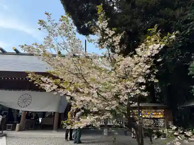 阿佐ヶ谷神明宮(東京都)