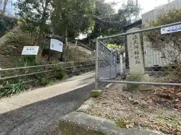 大杉弘法堂(弘法スギ)(滋賀県)