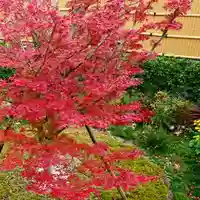 寿量山 速成寺の自然