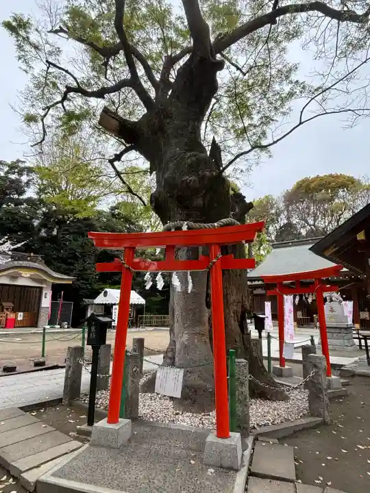 新田神社(東京都)