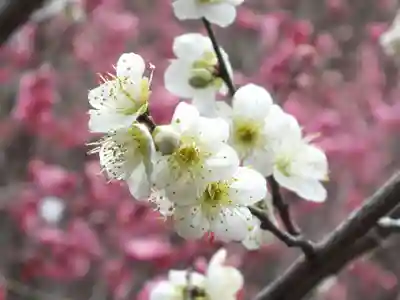 石山寺(滋賀県)