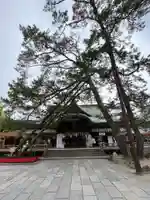 白山神社の本殿・本堂