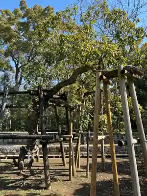 三嶋大社の{uncategorized: "未分類", other: "その他", undefined: "問題あり", building: "その他建物", grave: "お墓", sacred_gate: "鳥居", guardian: "狛犬", statue: "像", buddha: "仏像", history: "歴史", nature: "自然", garden: "庭園", animal: "動物", pagoda: "塔", temizu: "手水舎", mountain_gate: "山門・神門", sanctuary: "本殿・本堂", subordinate: "末社・摂社", art: "芸術", scenery: "景色", jizo: "地蔵", ema: "絵馬", goshuin: "御朱印", omikuji: "おみくじ", items: "授与品その他", amulet: "お守り", goshuincho: "御朱印帳", eats: "食事", festival: "お祭り", votive_dance: "神楽", shichigosan: "七五三参", wedding: "結婚式", experience: "体験その他", initially: "初詣", around: "周辺", anti_infection: "感染症対策"}