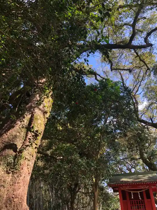 大汝牟遅神社の自然