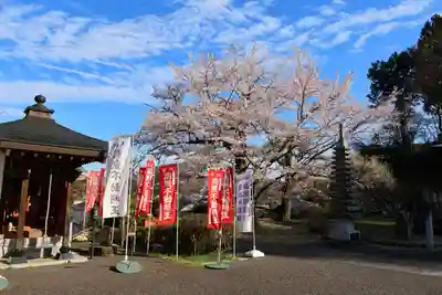 龍穏院の景色