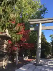 住吉神社の鳥居