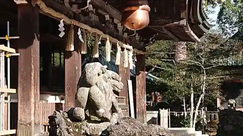 筑波山神社の狛犬