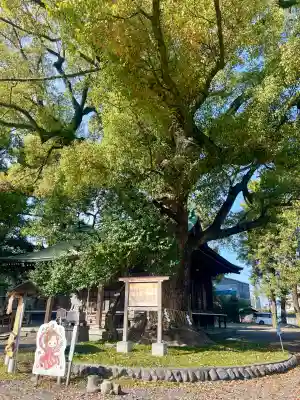 前島神社(静岡県)