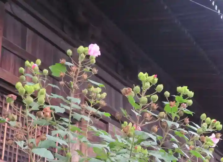 舎那院(滋賀県)