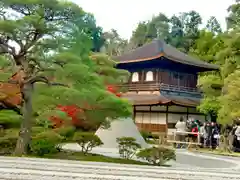 慈照寺（慈照禅寺・銀閣寺）(京都府)