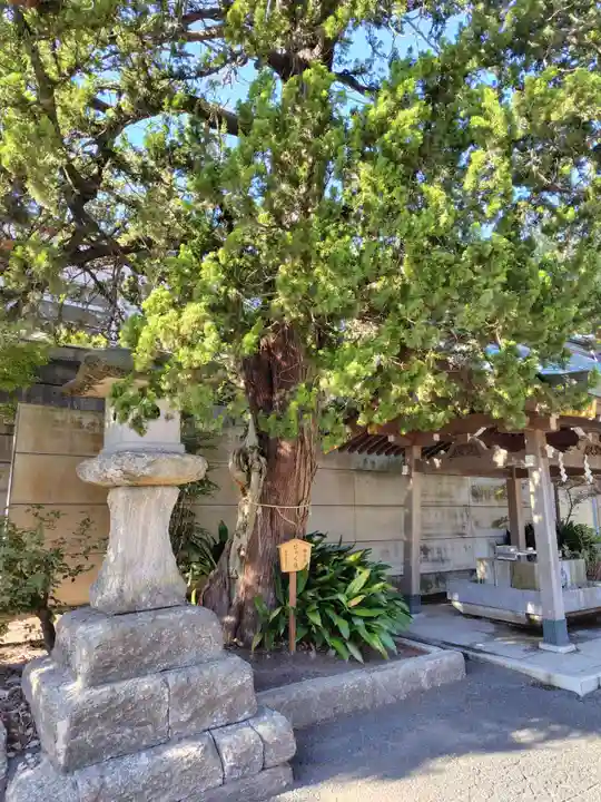 下田八幡神社(静岡県)