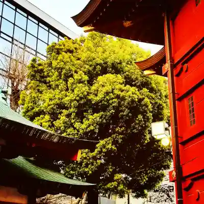 神田神社（神田明神）のその他建物