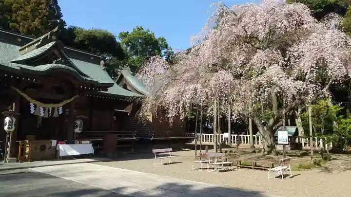 常陸第三宮 吉田神社(茨城県)