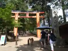 手向山八幡宮(奈良県)