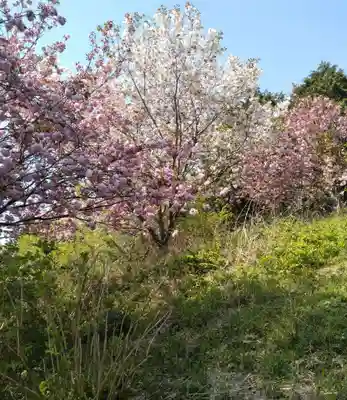 妙立寺(宮城県)