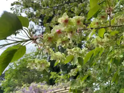 歌泉堂（春日大社神苑萬葉植物園内鎮座）(奈良県)