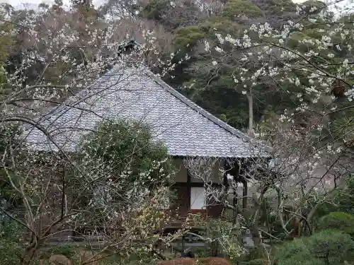 光則寺の本殿・本堂
