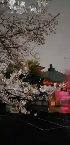 高幡不動尊　金剛寺の自然