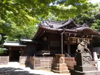 代々木八幡宮の本殿・本堂