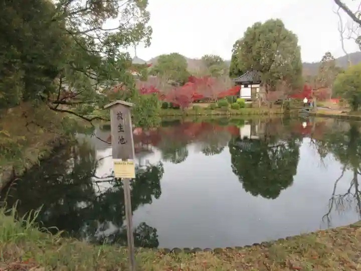 大覚寺(京都府)