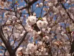 石上寺の自然