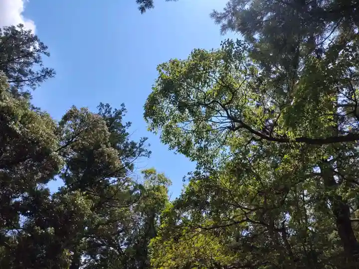 猿田彦神社の自然