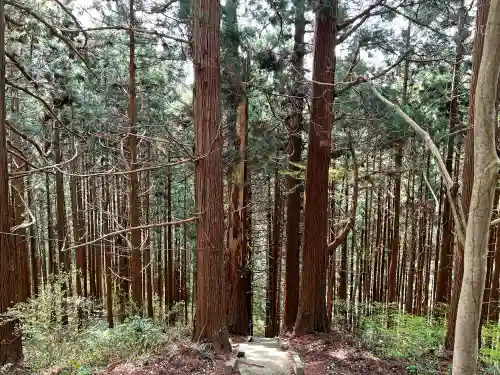 戸隠神社の周辺