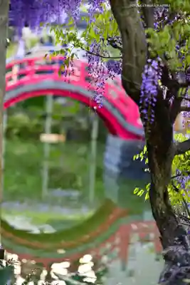 亀戸天神社(東京都)