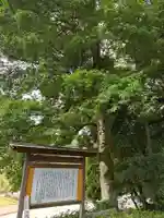 男坂神社の自然