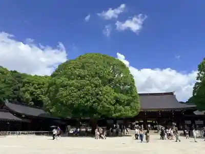 明治神宮(東京都)