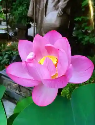 世尊院(東京都)