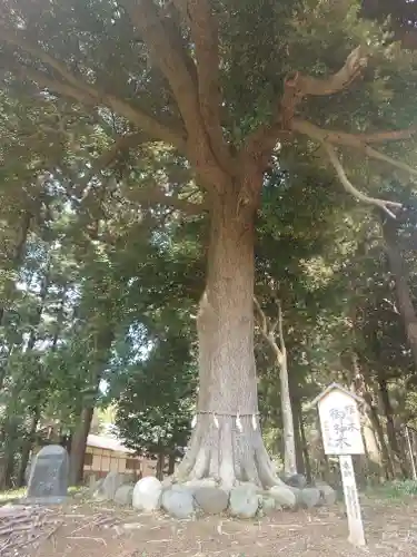 宇都母知神社(神奈川県)