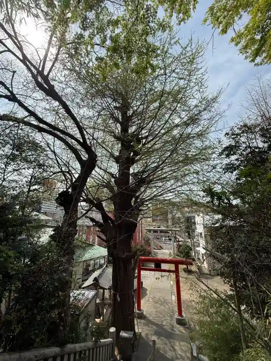 雷神社(神奈川県)
