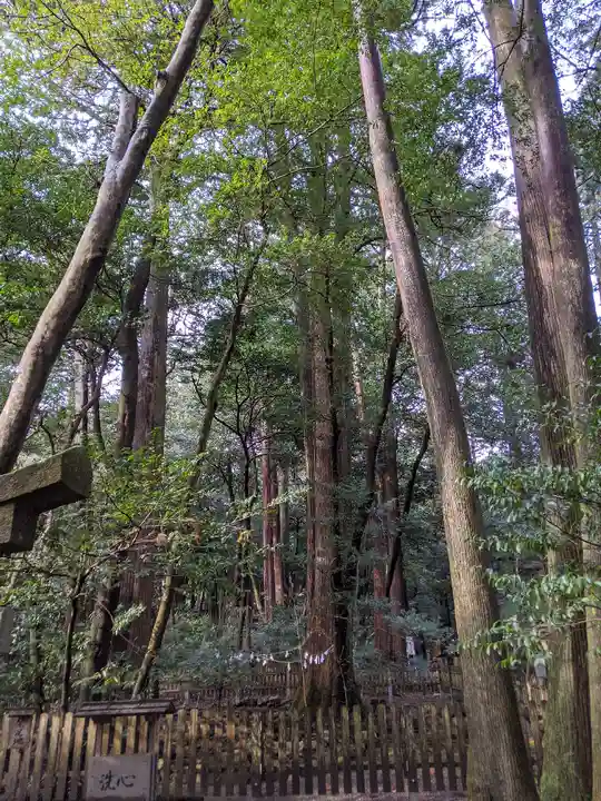 椿大神社(三重県)
