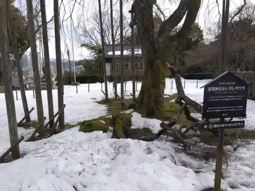 足羽神社(福井県)