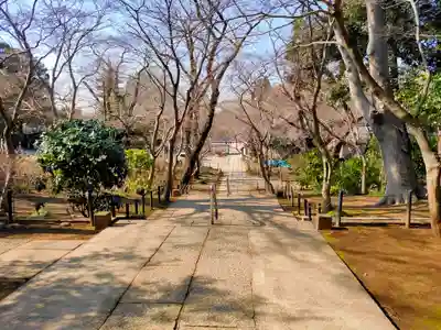 本土寺(千葉県)