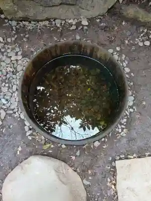 明治神宮(東京都)