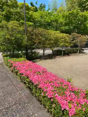 相国寺（相国承天禅寺）(京都府)