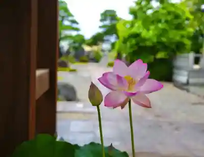 法源寺(山梨県)